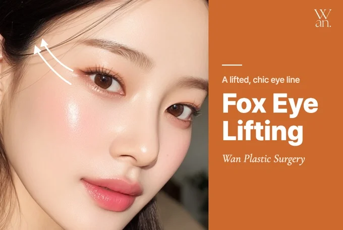 WAN Fox Eye Lifting product image